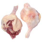 eendenboutje 250-275 gram verpakking
