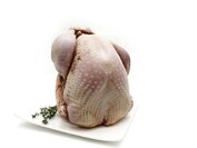 Hele babykalkoen ca 3000-3750 gram